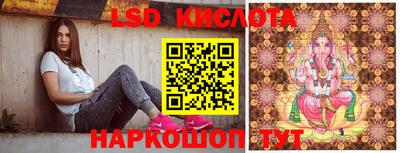соль ск Новозыбков