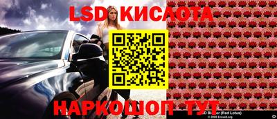 ECSTASY Новодвинск