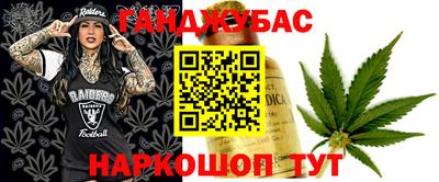 ECSTASY Новодвинск