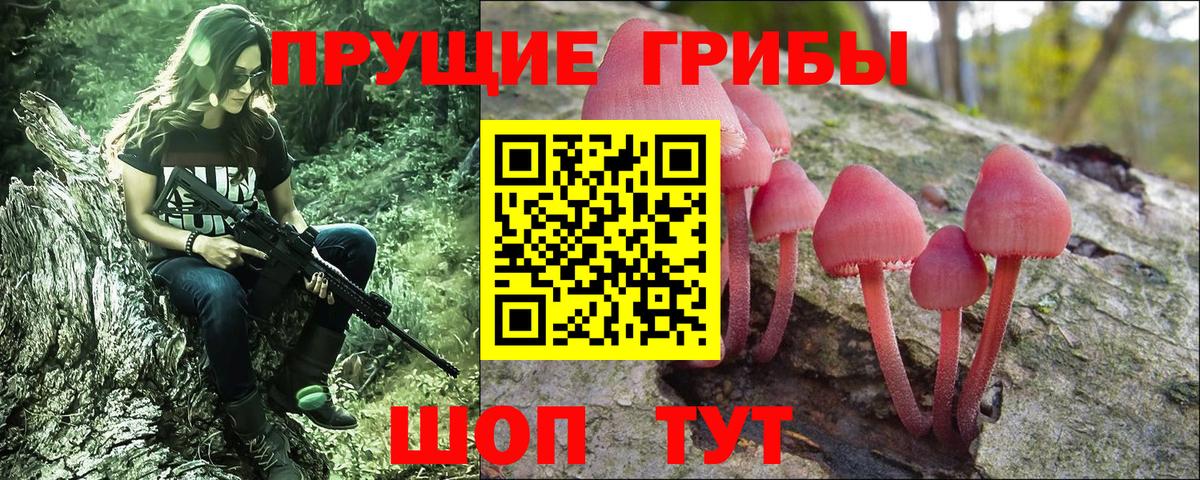 Псилоцибиновые грибы GOLDEN TEACHER Саранск